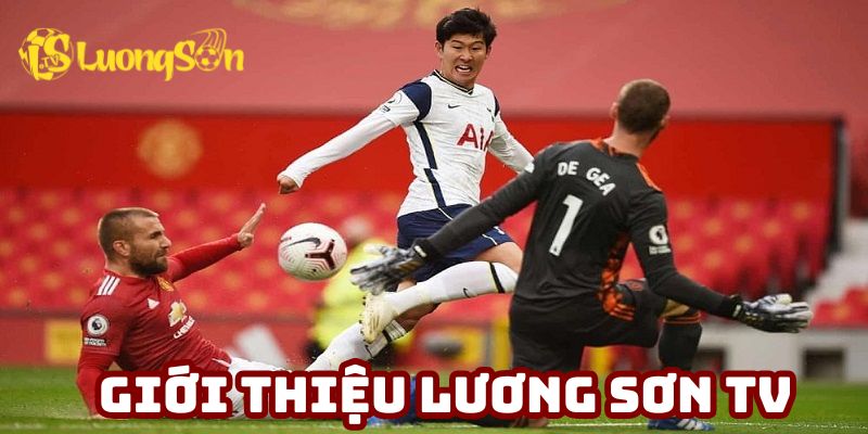 Giới thiệu Luongson về sự ra đời và phát triển
